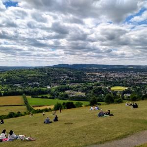 Box Hill view 