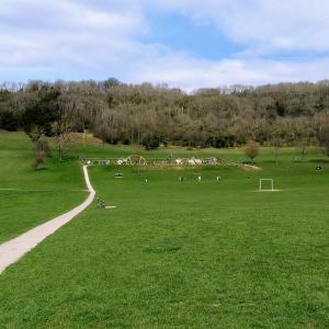 Riddlesdown