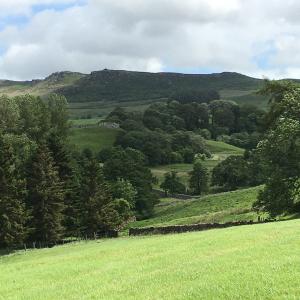 View across valley to woodland and hill